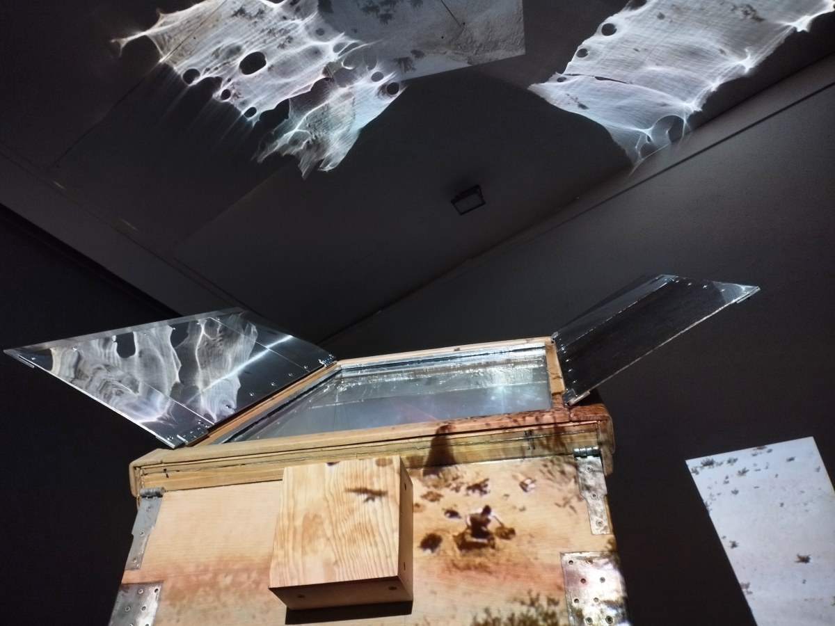 Cosmos – Parcours d&rsquo;expositions «En toute saison» – L&rsquo;esTRAde à Athis de l’Orne,&nbsp;2023